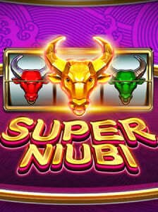 SuperNiubi